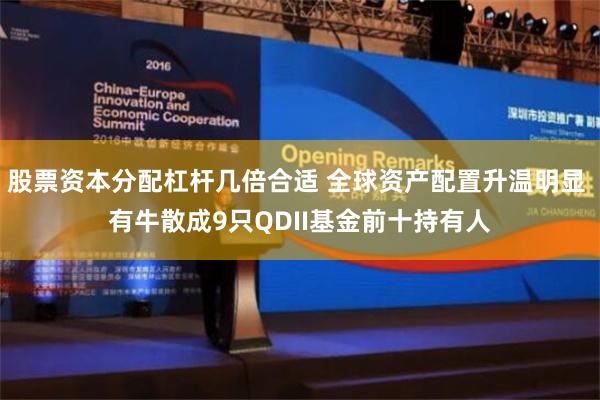 股票资本分配杠杆几倍合适 全球资产配置升温明显 有牛散成9只QDII基金前十持有人