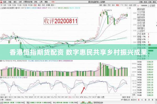 香港恒指期货配资 数字惠民共享乡村振兴成果