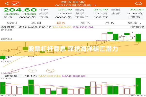 股票杠杆意思 深挖海洋碳汇潜力