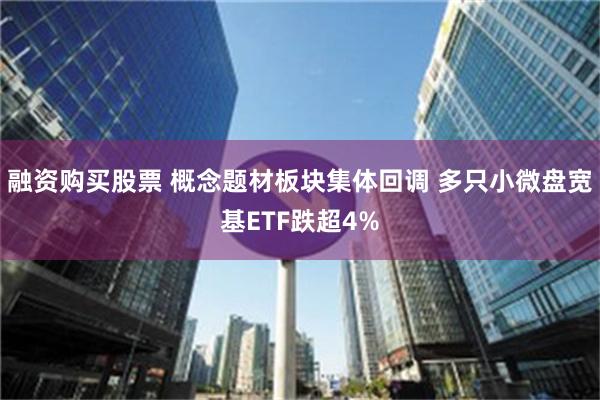 融资购买股票 概念题材板块集体回调 多只小微盘宽基ETF跌超4%