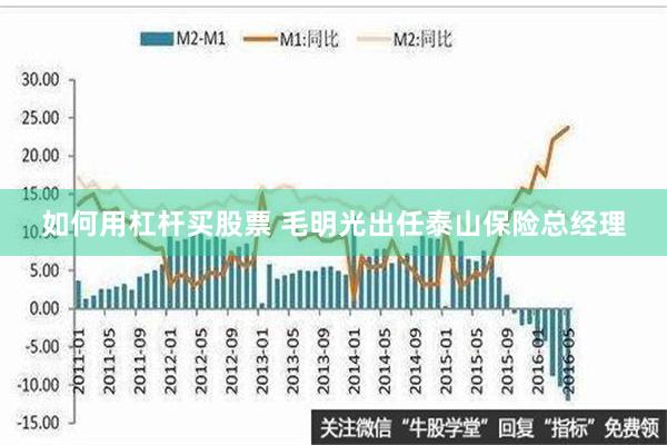 如何用杠杆买股票 毛明光出任泰山保险总经理