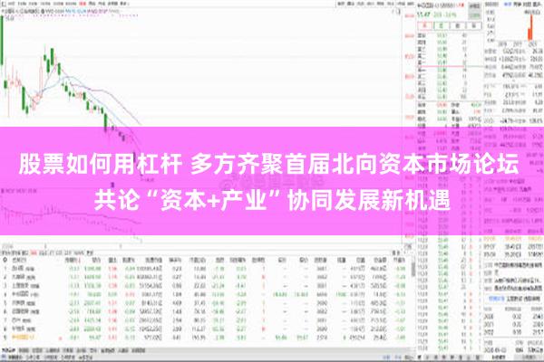 股票如何用杠杆 多方齐聚首届北向资本市场论坛 共论“资本+产业”协同发展新机遇